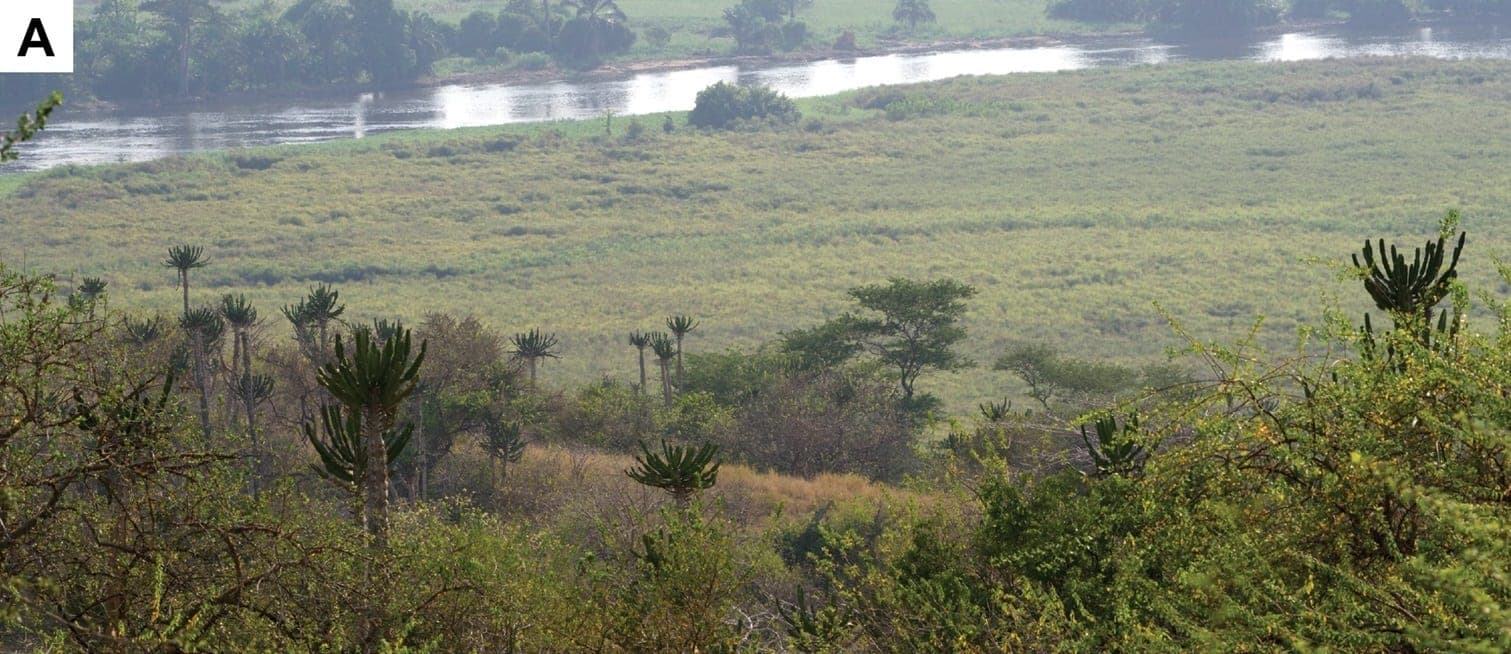 Quiçama National Park