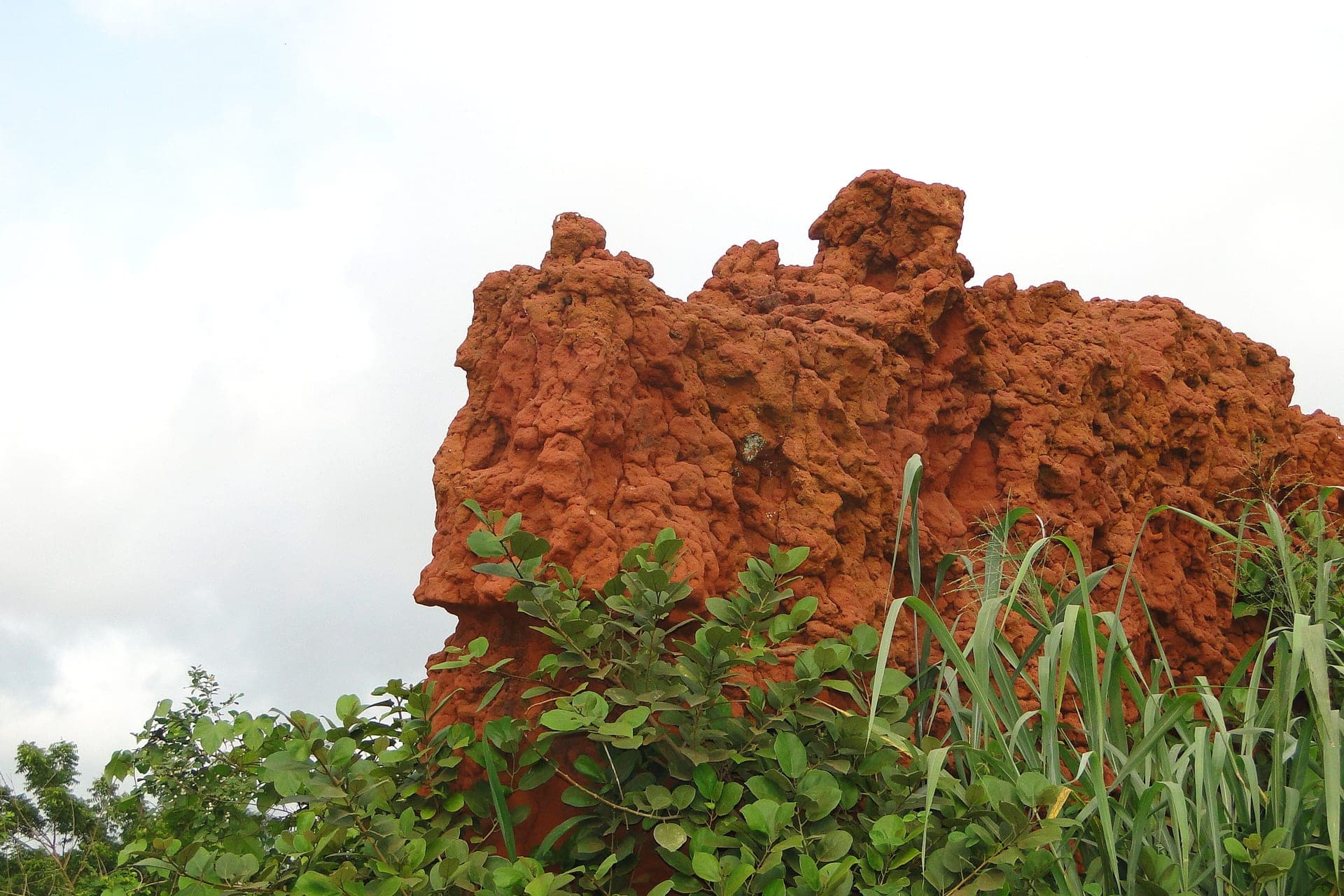 Benin landscape