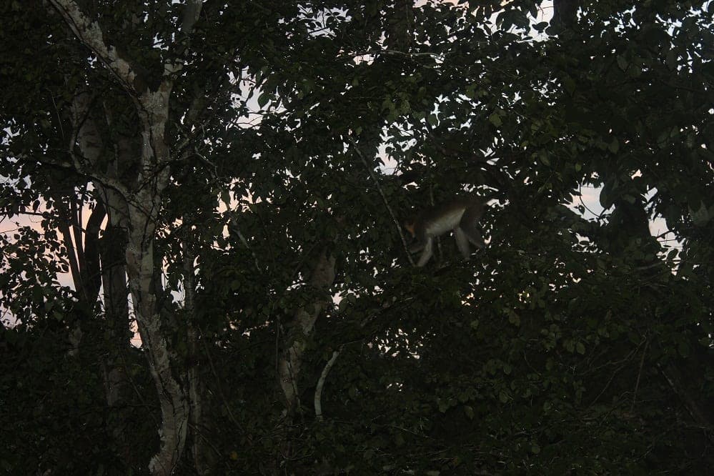 Outamba-Kimili National Park