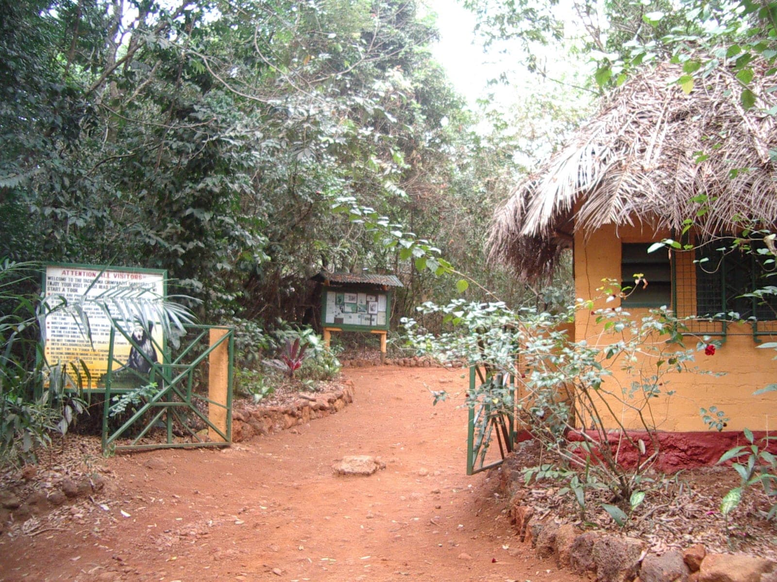 Tacugama Chimpanzee Sanctuary