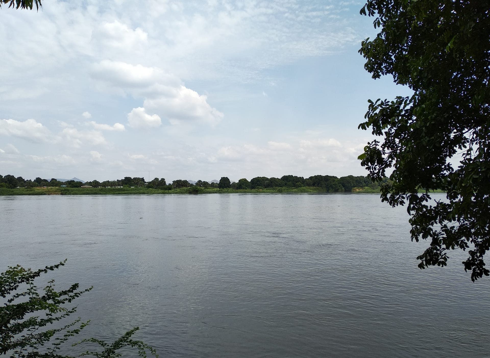 South Sudan landscape