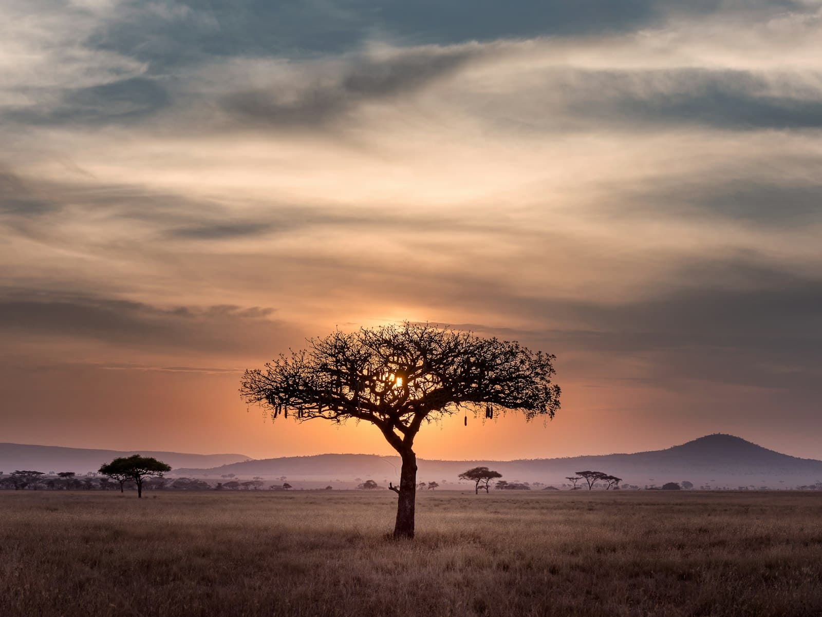 African landscape