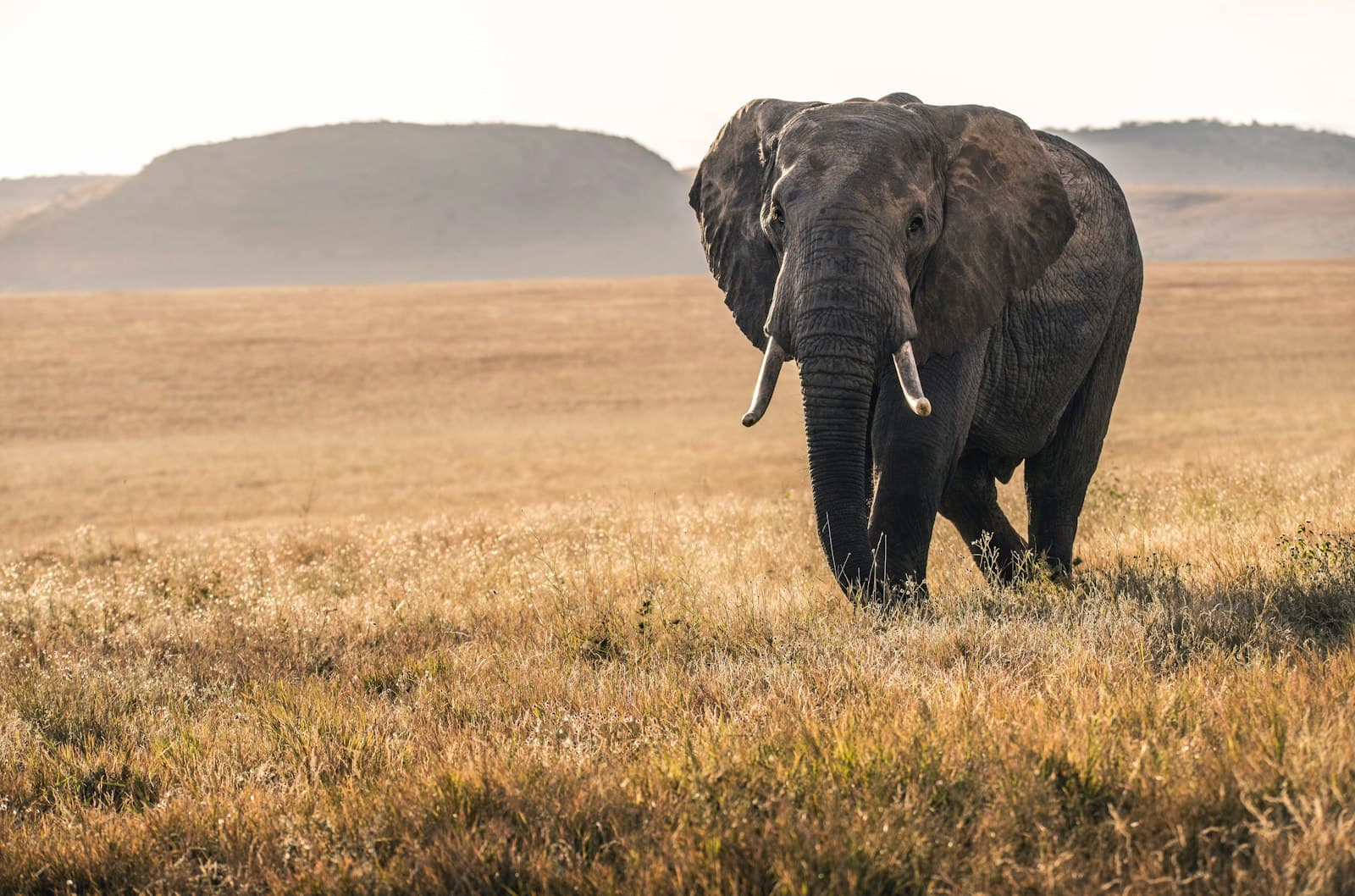 Lake Nakuru National Park